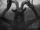 Windhand/Cough Reflections of the Negative (Vinyl)