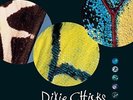 Fly, Dixie Chicks, New