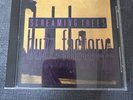 Screaming Trees Buzz Factory And Even If And Especially When