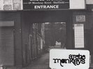 Arctic Monkeys / When The Sun Goes Down / Vinyl / Alternative / Indie / Domino