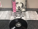 LP VINYL CRASS ALBUM PENIS ENVY RTL-25 JAPAN 1ST PRESS 1982 NEAR MINT CONDITION
