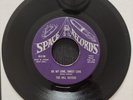 Rare Original Soul Rola 45 The Hill Sisters Oh My Love, Sweet Love (Space)