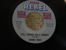 Z25 REB REBEL 515 COUNTRY JOHNNY REBEL STILL LOOKING FOR A HAND OUT IN COON TOWN