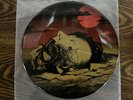 Repugnant Premature Burial 7