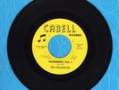 The Collegiates Raindrops Part 1 & 2 Cabell 111 Garage Soul 45 Record RARE M-