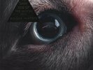 Roger Waters Dark Side of the Moon Redux double LP vinyl Europe Cooking Vinyl