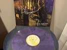 Megadeth The System Has Failed - Purple First Vinyl Pressing /1000