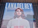 Lana Del Rey : Born to Die VINYL 12
