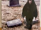 Crystal Castles ii Vinyl LP - SEALED