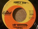 THE SURVIVORS Pamela Jean 45 Capitol RARE Surf Brian Wilson Beach Boys