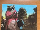 JJ Cale - Naturally Vinyl SRL-52009 - 1977 Reissue on Shelter Records - VG+