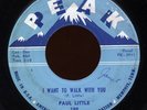 HEAR- Rare Rock 'n Roll / Teen 45 - Paul Little - I Want To Walk With You - Peak