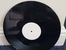 OASIS Liam & Noel Gallagher ''F----ing in the Bushes'' 12 inch PROMO With Mtx No