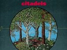 BERNIE KRAUSE Citadels Of Mystery Vinyl Record Album LP US Takoma 1979 Jazz Folk