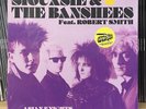 Siouxsie & The Banshees - Asian Knights (2xLP) Vinyl Record, SEALED, Import
