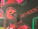 KID ROCK - Devil Without A Cause 2xLP 12” Vinyl 2015, VG+++