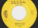 THE LOVE GRUPO EL AMOR OBSCURE MEXICAN ROCK 45 SUNSET/SHE'S MY LOVE