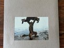 SHELLAC - DUDE INCREDIBLE  - VINYL ALBUM - TOUCH AND GO RECORDS - INCLUDES CD
