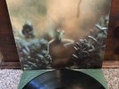 STEELY DAN Katy Lied - 1975 Santa Maria First Press ABC 846 Vinyl LP OG VG+