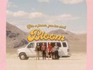 Carpool Tunnel - Bloom - 12