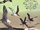 Flotation Toy Warning Bluffer's Guide to the Flight Deck (Vinyl) (UK IMPORT)
