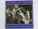 Youth Of Today Break Down The Walls Vinyl Record Original USA 1986 Wishingwell