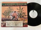 ANTHONY WHITE LP Could It Be Magic PIR Promo