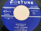 DETROIT  Classic FORTUNE Detroit SOUL  R&B ANDRE WILLIAMS MOZELLE  M-