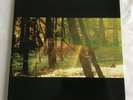 Childish Gambino Camp Dble Vinyl LP Trifold Sleeve & Insert GLS-0121-01 VGC