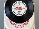 Rock Pop Novelty 45 Gary Sanders - Ain't No Beattle/Ain't I Good To You WB 5676