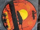 The Stranglers - Rattus Norvegicus & the Raven rare pic discs - excellent.