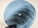 LED ZEPPELIN BLACK DOG X-Ray USSR Record Roentgen Bones Ribs Music Vinyl