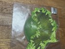 Weezer Africa Shaped Picture Disc Vinyl Toto RSD Record Store Day 2018 OOP