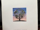 TALK TALK Laughing Stock RARE 1991 UK 1st PRESS VINYL LP Beautiful Copy EDEN