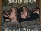 ROCK O RAMA REBELLES Bully Boys Brutal Attack Split LP