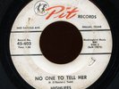 HEAR- Rare Texas Garage 45- Highlifes - No One To Tell Her- Pit Records # 45-403