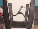 Mos Def The Ecstatic Vinyl Double LP 2009 - Downtown Label DWT70055-1