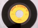 1960's Garage Rock 45  The Travel Agency   Jailbait