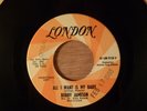 Bobby Jameson All I Want Is My Baby/Each And Every Day Promo Beat Rolling Stones