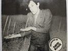 IGGY POP THE IDIOT LP 12