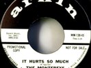 Rare Promotional Copy  The Monterey's(It Hurts So Much & Goodbye My Love) 45