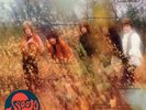 Spooky Tooth - It's All About (Reissue) (NEW VINYL LP)