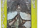 WINSTON RILEY - Meditation Dub / RARE ROOTS REGGAE DUB JAMAICA LP TECHNIQUES