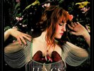 Florence And The Machine – Lungs LP (NEW Reissue Vinyl) You've Got The Love etc
