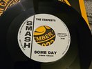 THE TEMPESTS - SOME DAY - SMASH / PRESSING TAKEN FROM THE LP