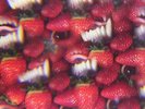 Thee Oh Sees Floating Coffin Records & LPs New