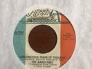 The Aardvarks Subconscious Train of Thought Unicorn Man Garage Fuzz 45 Original