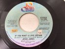 Jesse James - ‘If You Want A Love Affair’ 1975 Modern/Northern Soul EXCELLENT