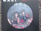 W.A.S.P. PICTURE LP  GUNS AND ROSES, MOTLEY CRU, MOTORHEAD, BLACK SABBATH, DIO,