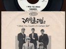HEAR- Rare Rock 45 & P/S - The Yardbirds - I Wish You Could- Epic # 5-9709 Promo